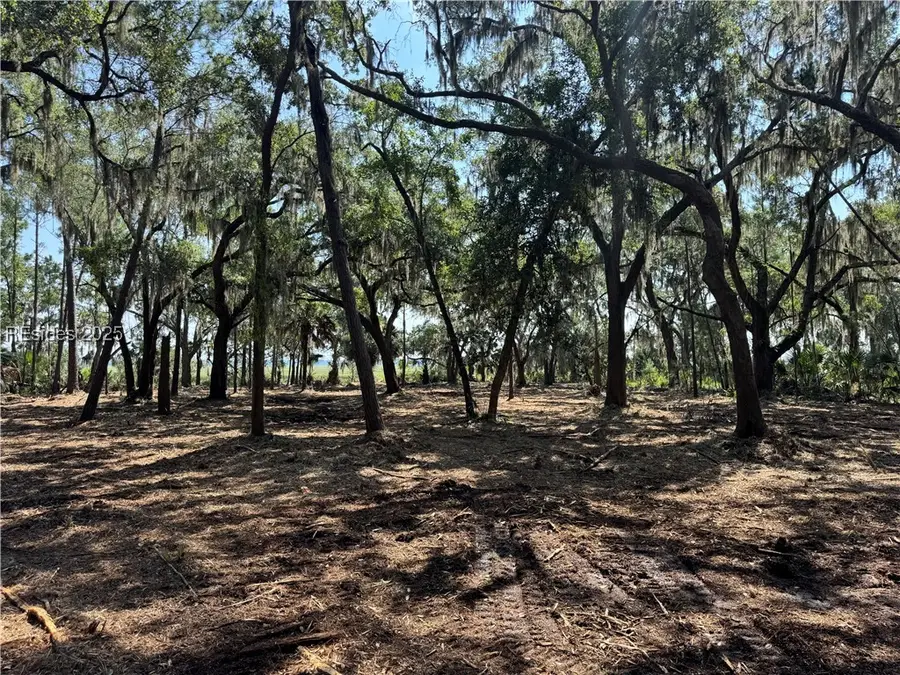 TBD Broadview Dr, Ridgeland, SC 29936 - Image #3