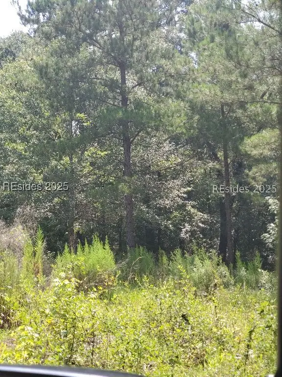 0000 Firetower Road, Ridgeland, SC 29936 - Image #2