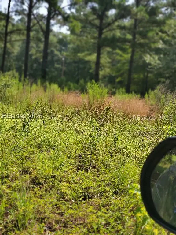 0000 Firetower Road, Ridgeland, SC 29936 - Image #3