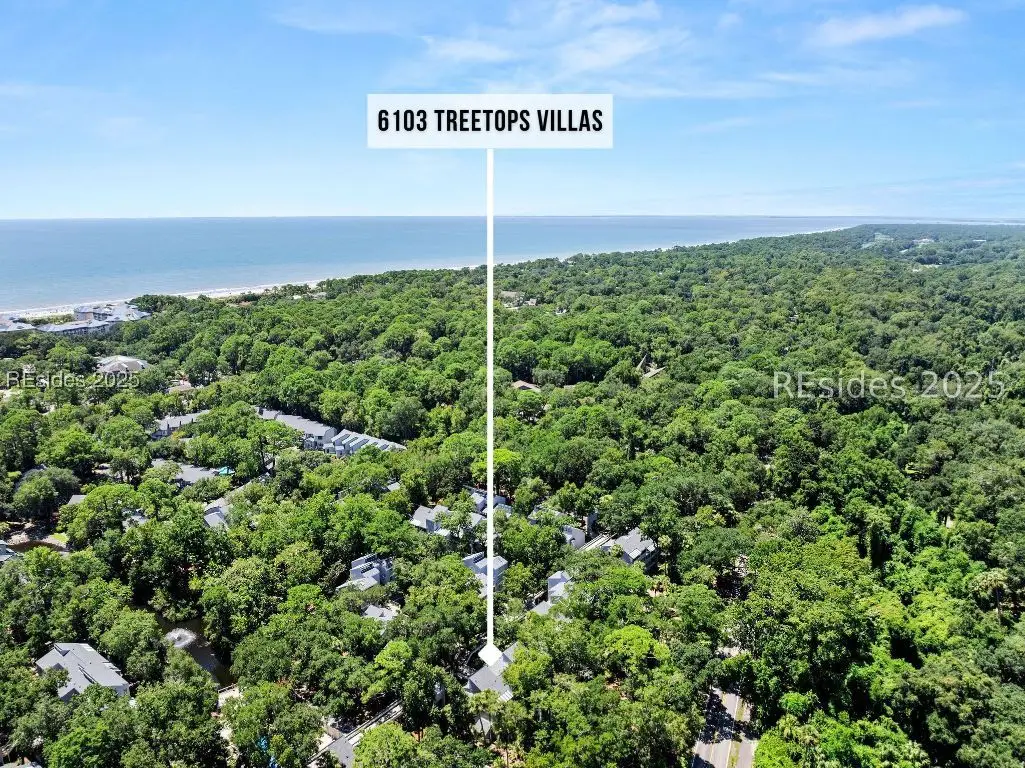 137 Cordillo Parkway #6103, Hilton Head Island, SC 29928 - Image #1