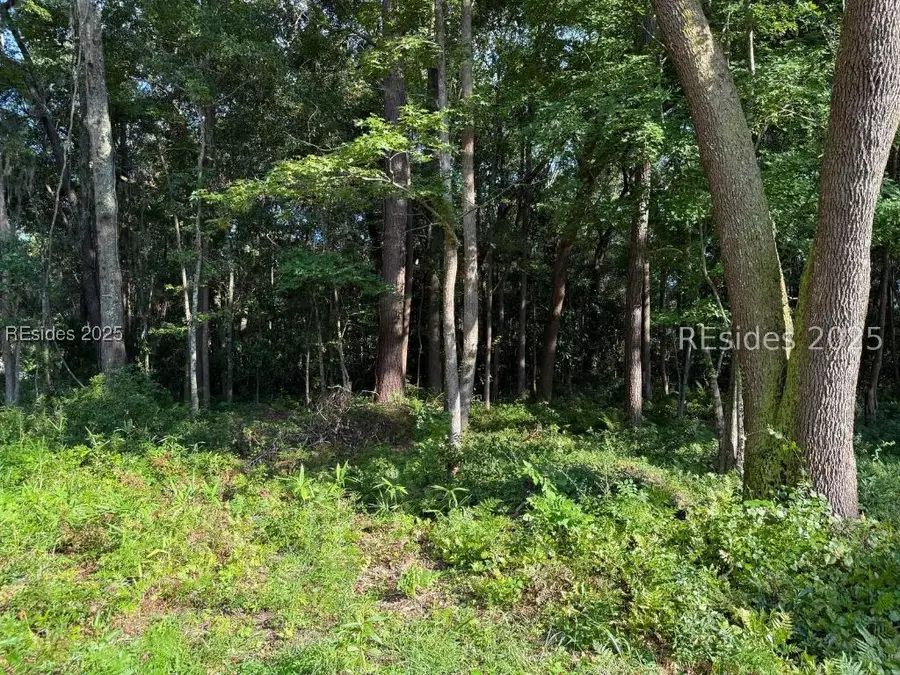 23 Joe Frazier Road, Beaufort, SC 29906 - Image #2