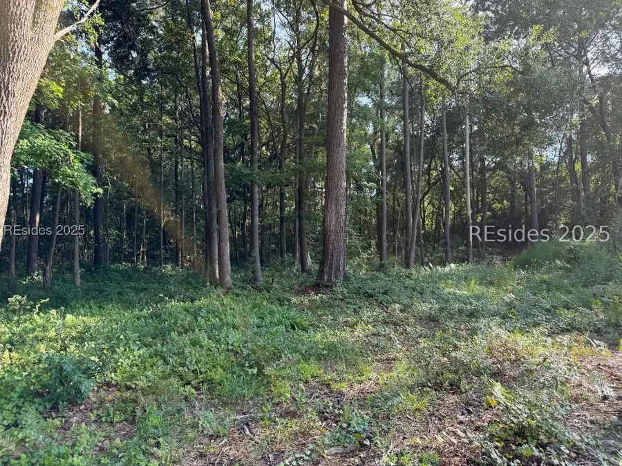 23 Joe Frazier Road, Beaufort, SC 29906 - Image #3