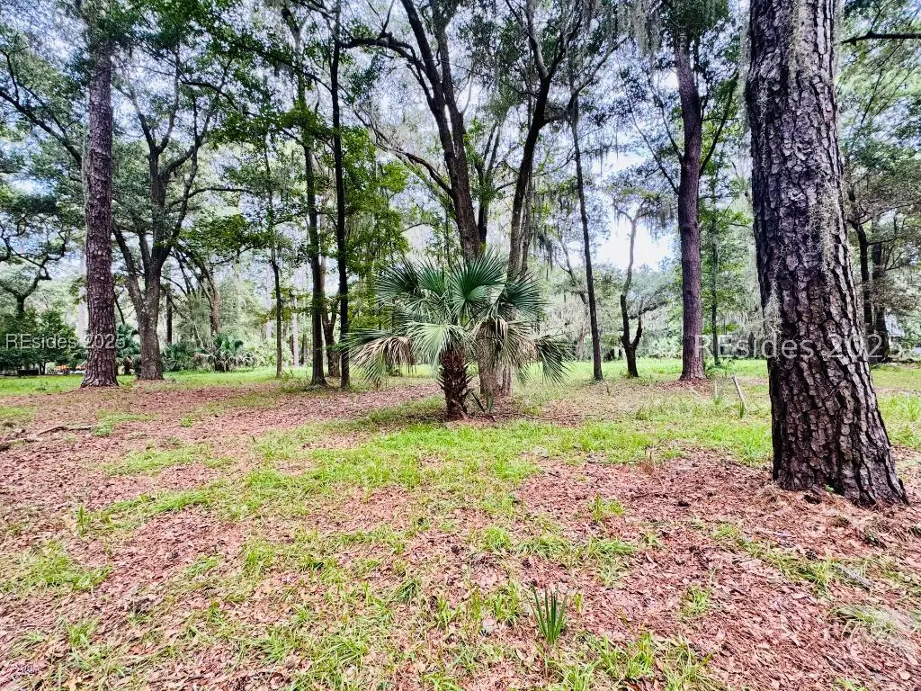 1113 Haig Point Road, Daufuskie Island, SC 29915 - Image #1