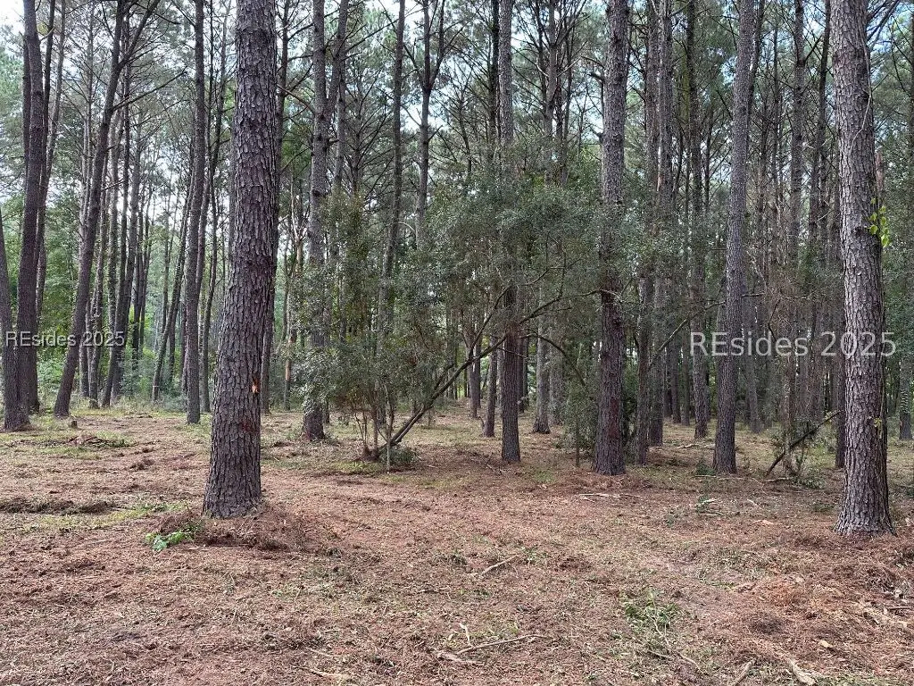 464 Paige Point Bluff, Seabrook, SC 29940 - Image #1