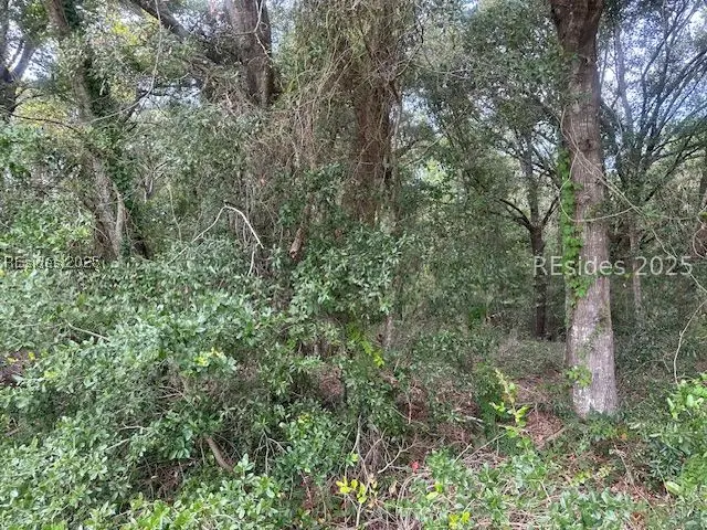 1236 Seaside Road, Saint Helena Island, SC 29920 - #2