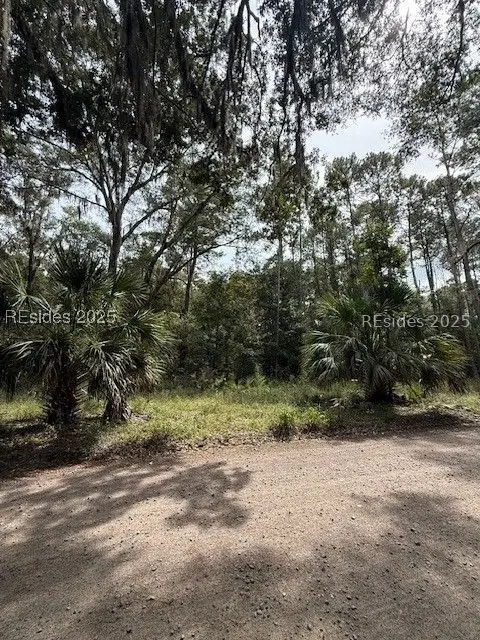 112 School Road, Daufuskie Island, SC 29915 - Image #2