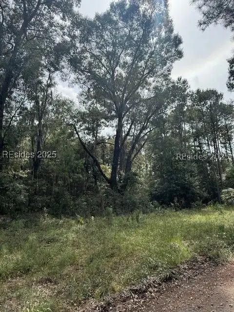 112 School Road, Daufuskie Island, SC 29915 - Image #3