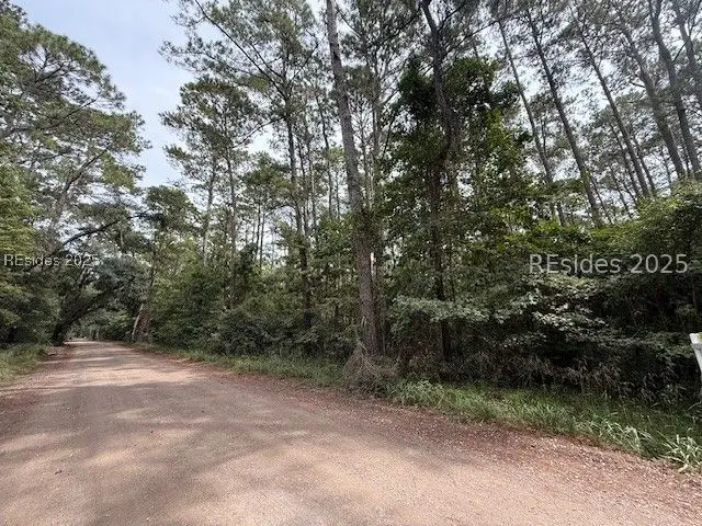 284 School Road, Daufuskie Island, SC 29915 - Image #1