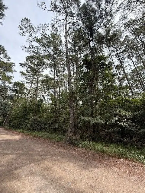 284 School Road, Daufuskie Island, SC 29915 - Image #2