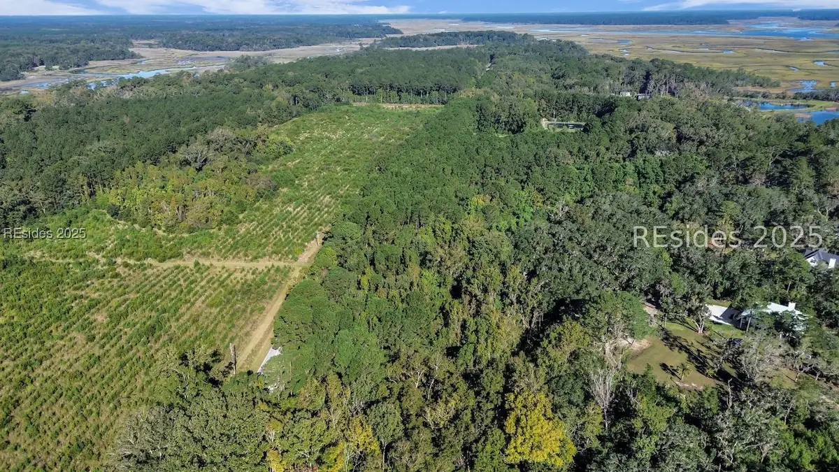 Parcel AA Knowles Island Rd, Ridgeland, SC 29936 - Image #1