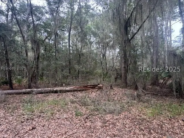 9 Turtles Pace Lane, Daufuskie Island, SC 29915 - Image #2