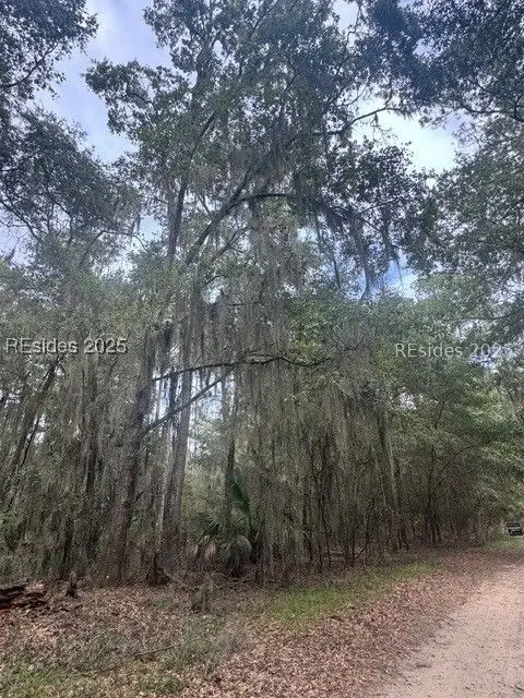 9 Turtles Pace Lane, Daufuskie Island, SC 29915 - Image #3