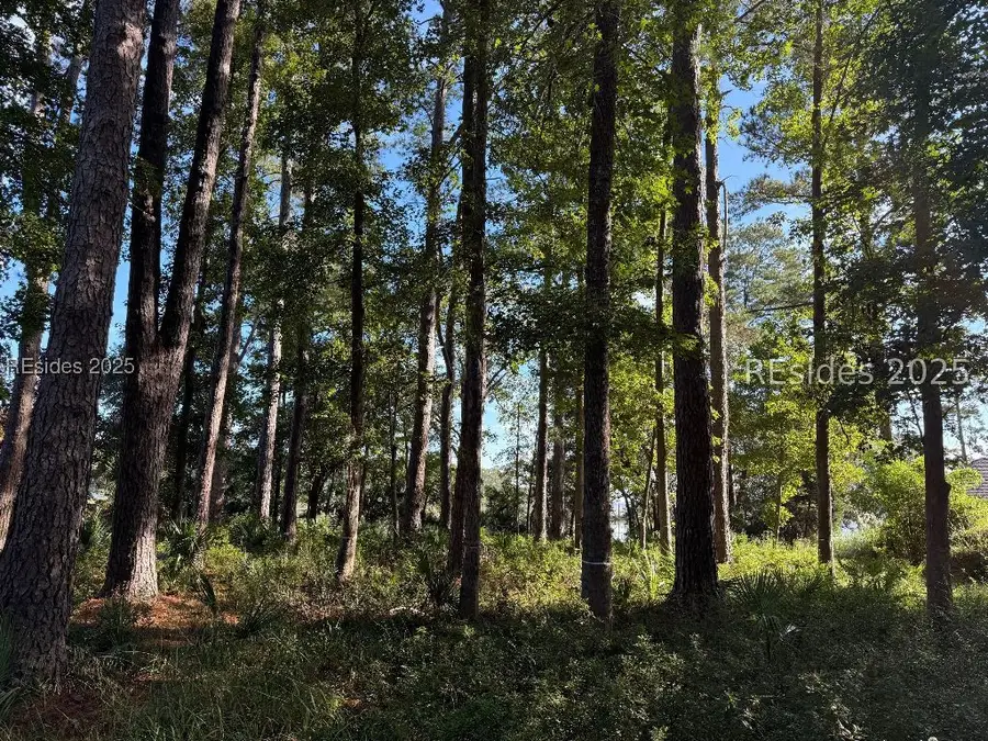 27 Spartina Crescent, Bluffton, SC 29910 - Image #3