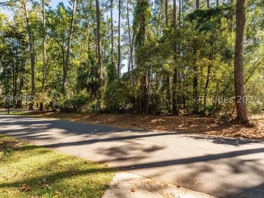 51 Winding Oak Drive, Okatie, SC 29909 - #2