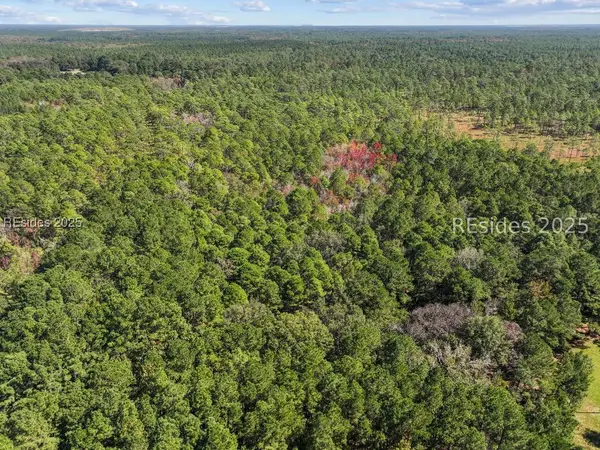 5156 Jasper Station Road, Ridgeland, SC 29936