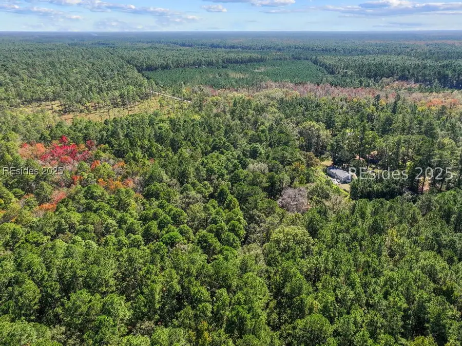 5156 Jasper Station Road, Ridgeland, SC 29936 - Image #3