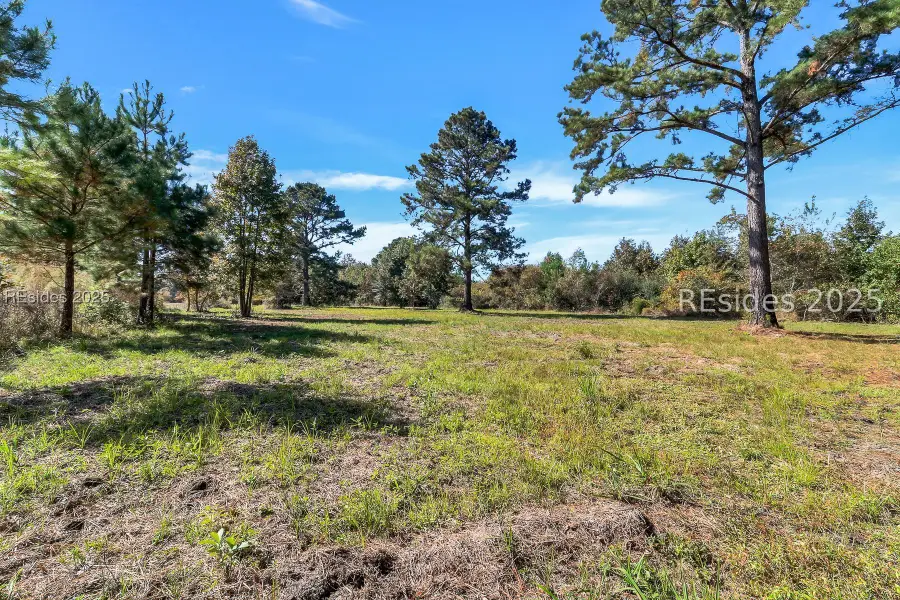 782 Strawberry Hill Road, Ridgeland, SC 29936 - #3