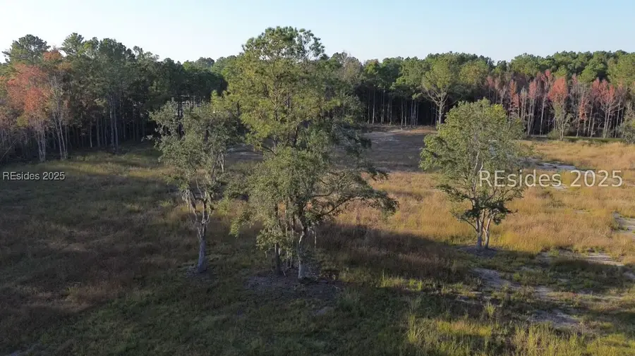 316 Roseland Road, Ridgeland, SC 29936 - Image #3