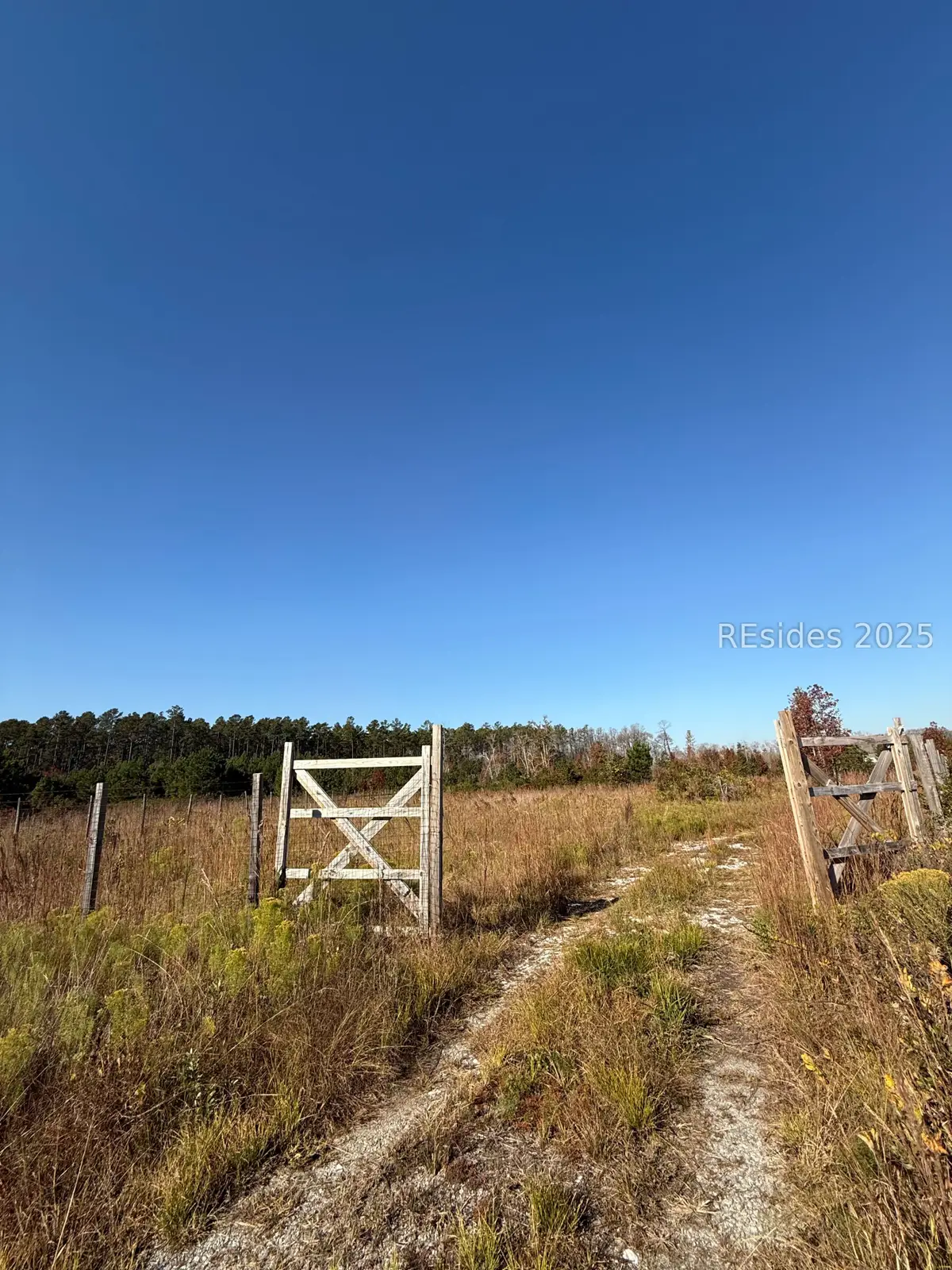 51 Willys Way, Early Branch, SC 29916 - Image #1