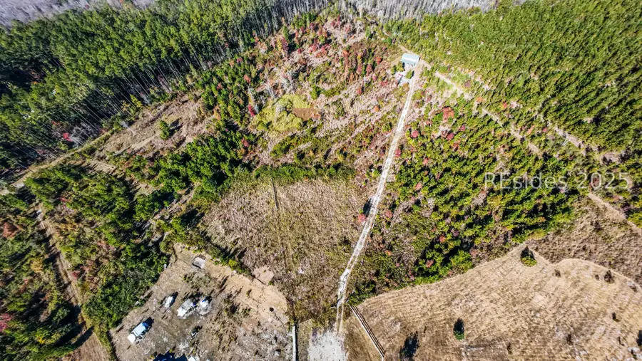 51 Willys Way, Early Branch, SC 29916 - Image #3