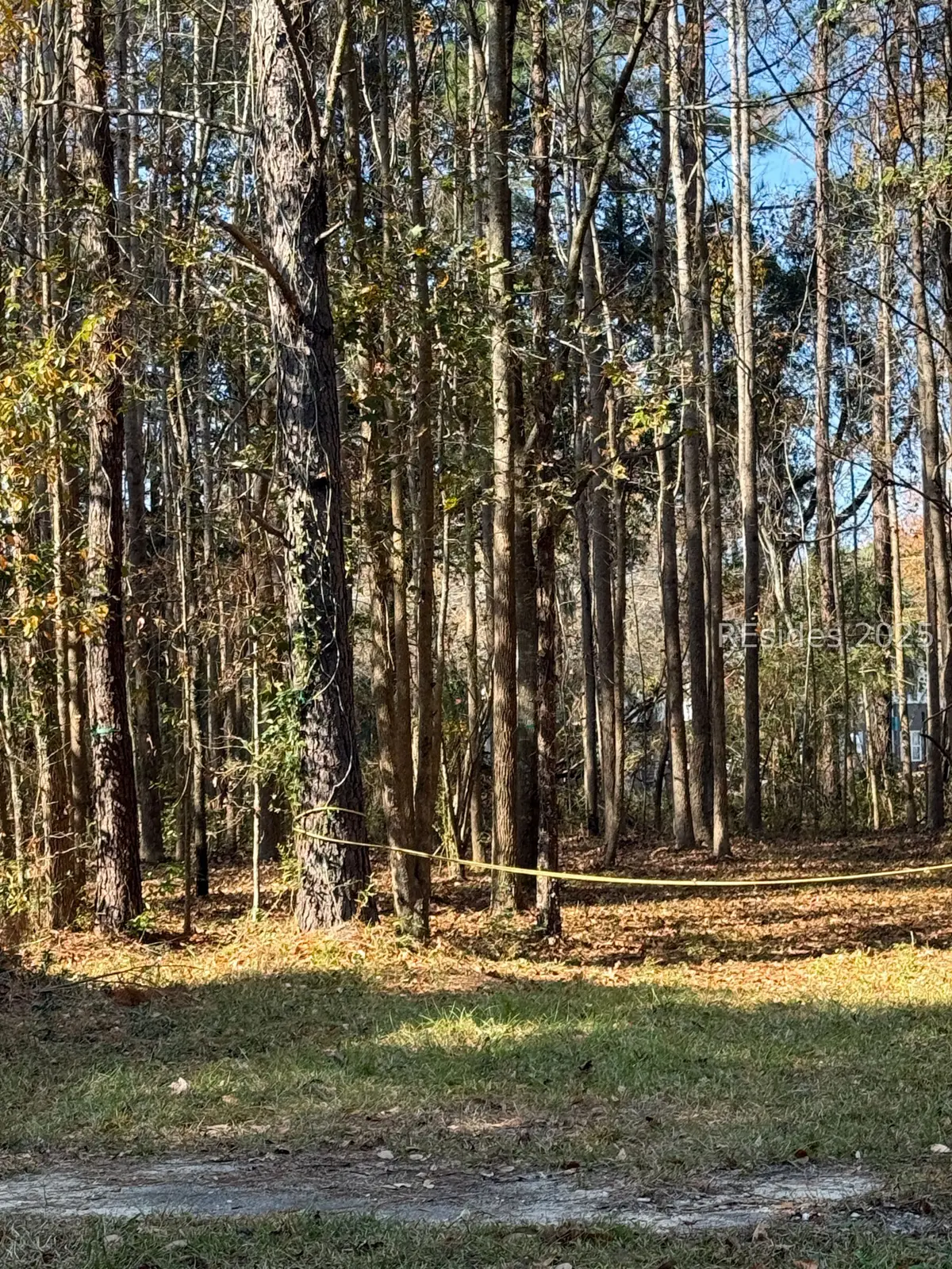 6964 Tillman Road, Ridgeland, SC 29936 - Image #1