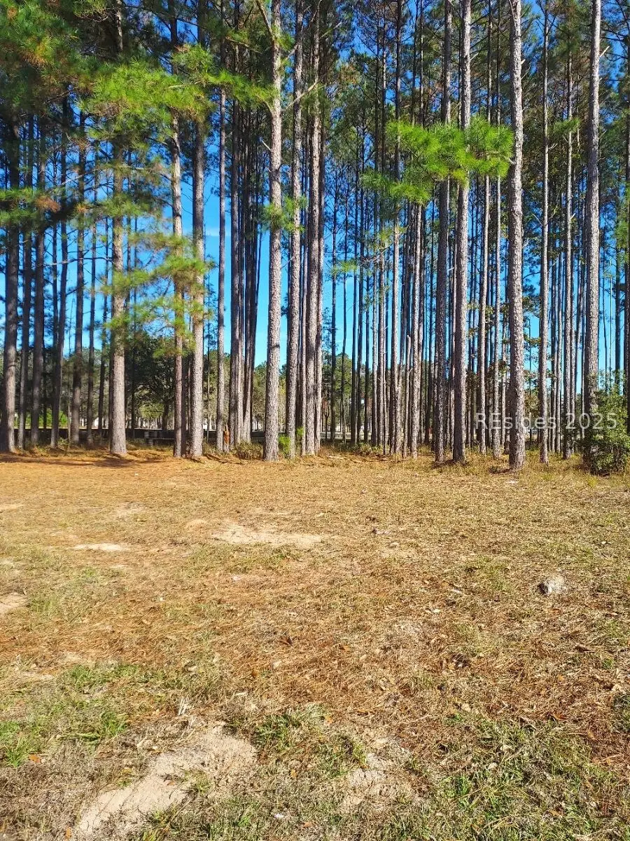 379 Azalea Drive, Hardeeville, SC 29927 - Image #1