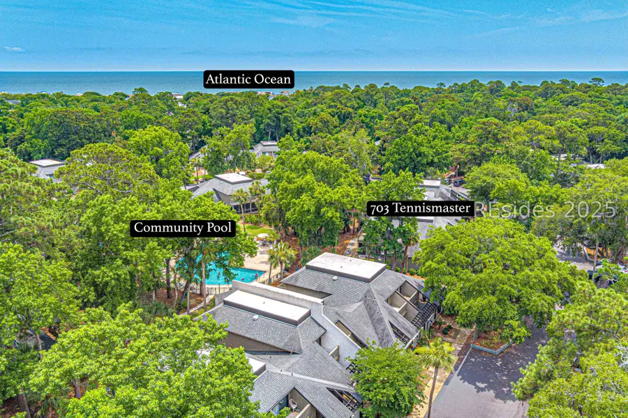 100 Shipyard Drive #703, Hilton Head Island, SC 29928 - #2