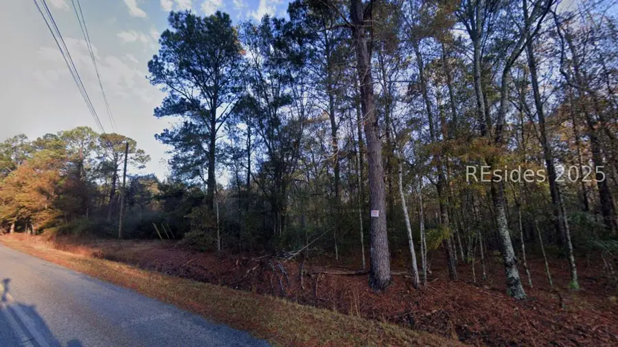 0 Cohen Road, Pineland, SC 29934 - Image #3