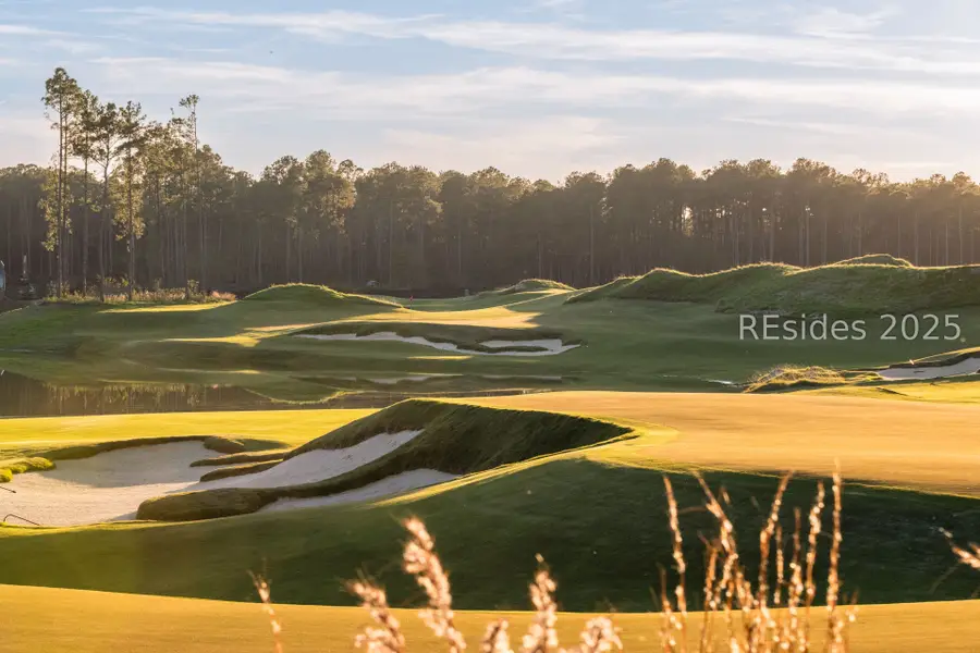 85 Amaranth Road, Bluffton, SC 29910 - Image #3