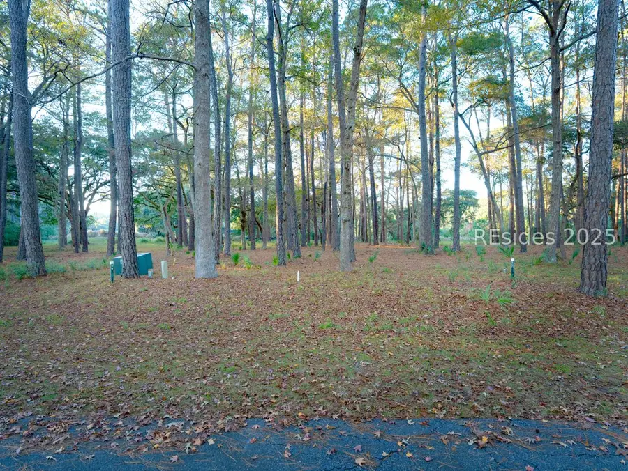 89 Martinangel Lane, Daufuskie Island, SC 29915 - #2