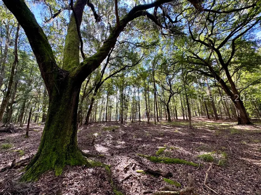 000 Lowcountry Drive, Ridgeland, SC 29936 - #2