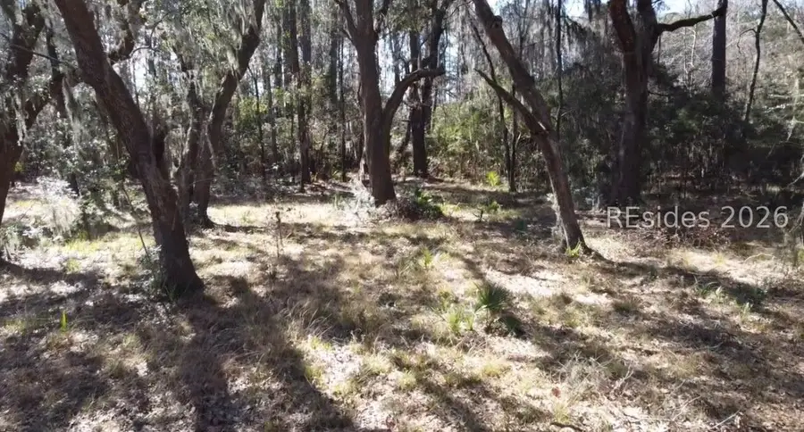 - Broadview Drive, Ridgeland, SC 29936 - Image #2