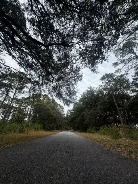 74 Fuskie Lane, Daufuskie Island, SC 29915 - #2