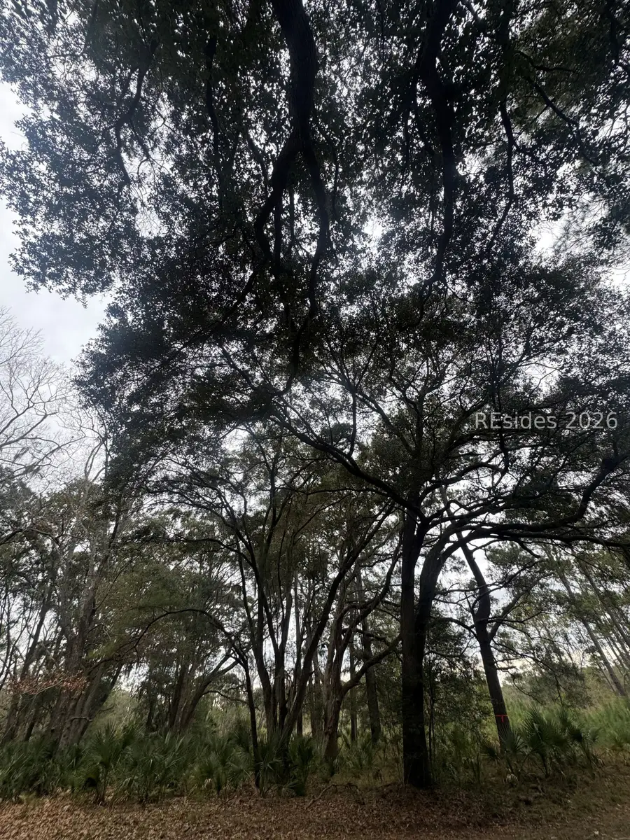 74 Fuskie Lane, Daufuskie Island, SC 29915 - #3