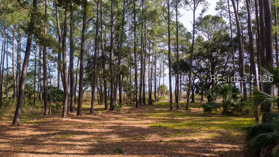 81 Fuskie Lane, Daufuskie Island, SC 29915 - #2