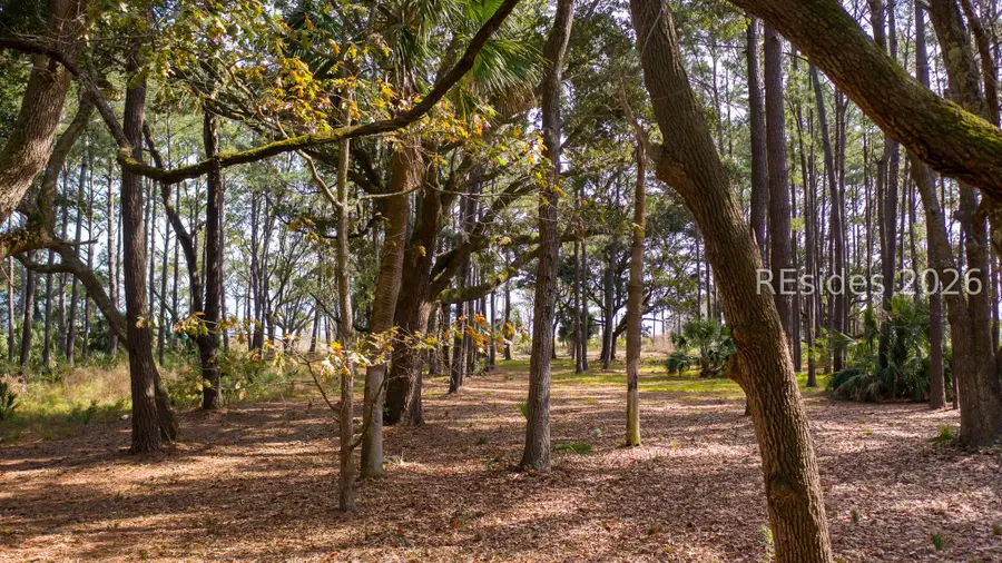 81 Fuskie Lane, Daufuskie Island, SC 29915 - #3