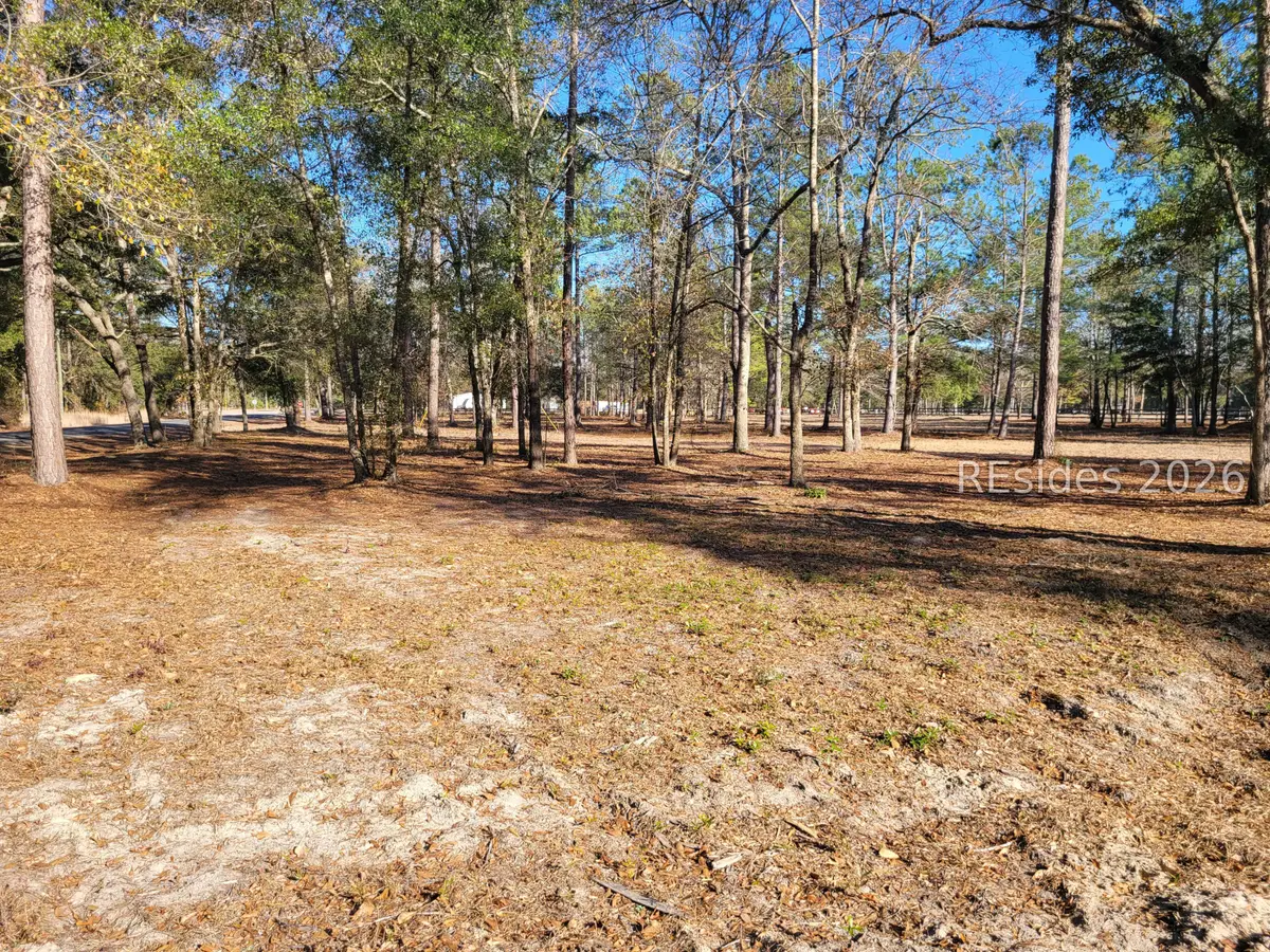 TBD Beaver Dam Creek Road, Ridgeland, SC 29936 - Image #1