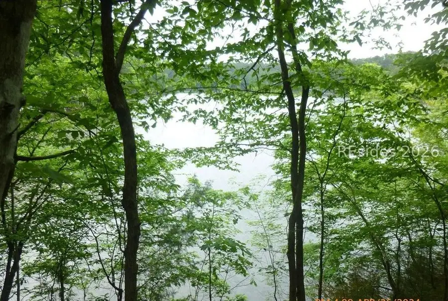 lot 17 block 40 Waters Edge Drive, McCormick, SC 29835 - #2