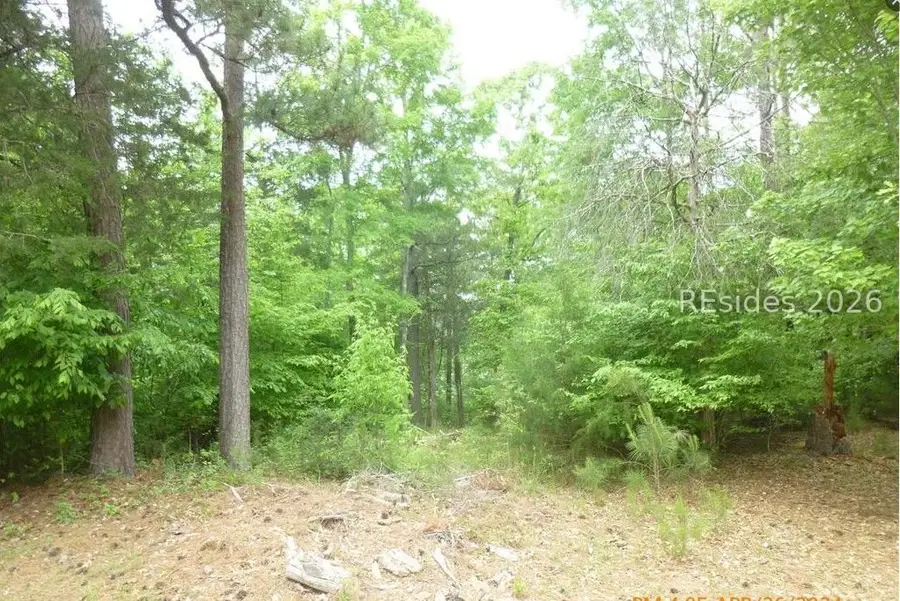 lot 17 block 40 Waters Edge Drive, McCormick, SC 29835 - #3