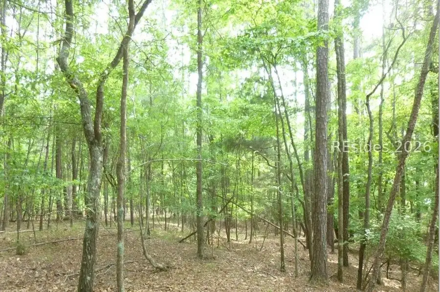 Lot 8 Block 15 Colleen Port, McCormick, SC 29835 - #2