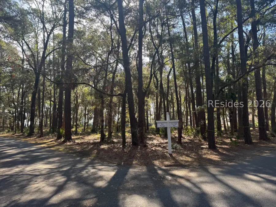 4 Front Light Walk, Daufuskie Island, SC 29915 - #3