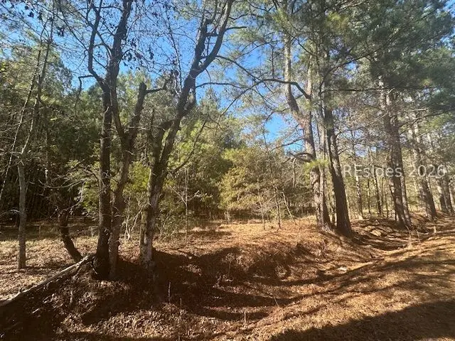 585 Bailey Mill Road, Ridgeland, SC 29936 - #1