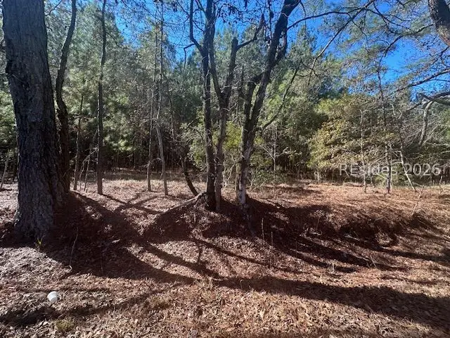 585 Bailey Mill Road, Ridgeland, SC 29936 - #2