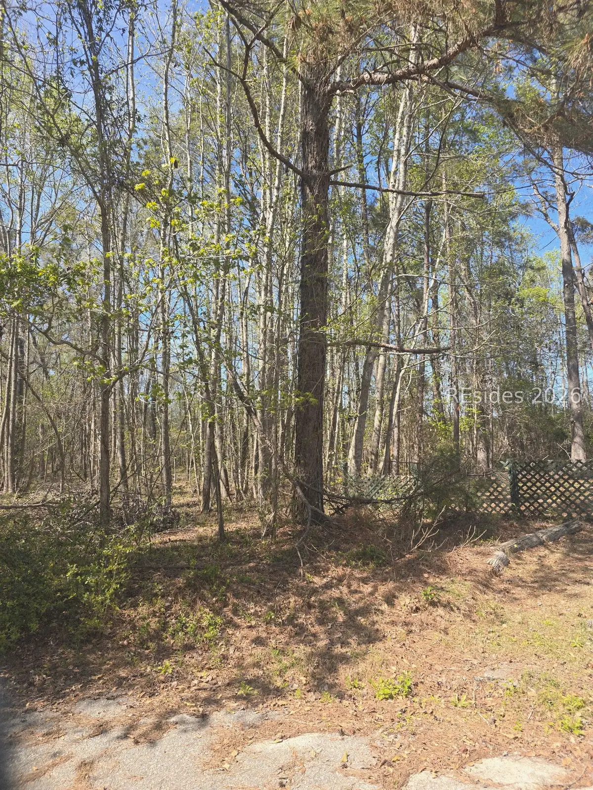 Lot 5 Freeman Street, Brunson, SC 29911 - #1