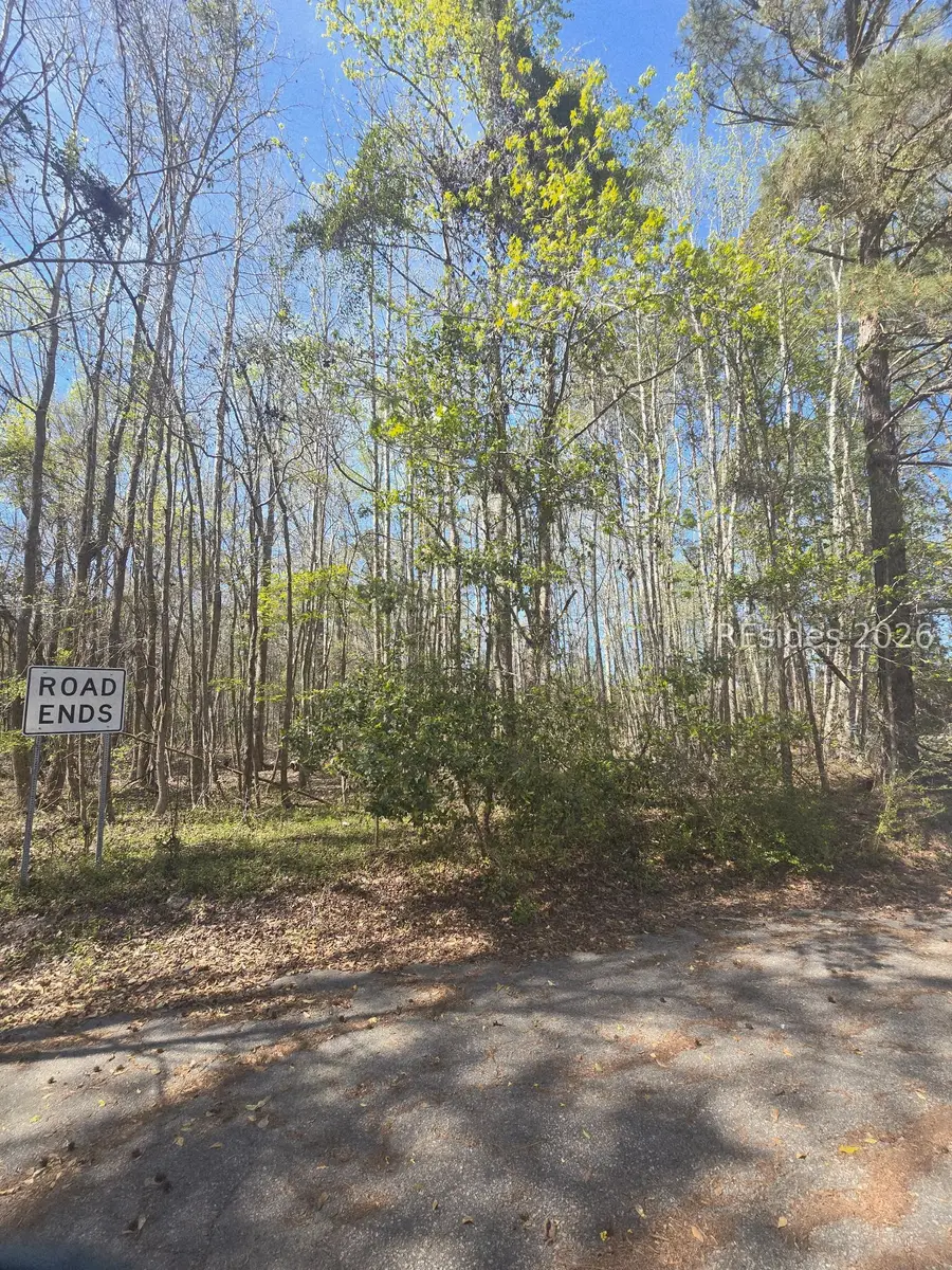 Lot 5 Freeman Street, Brunson, SC 29911 - #2