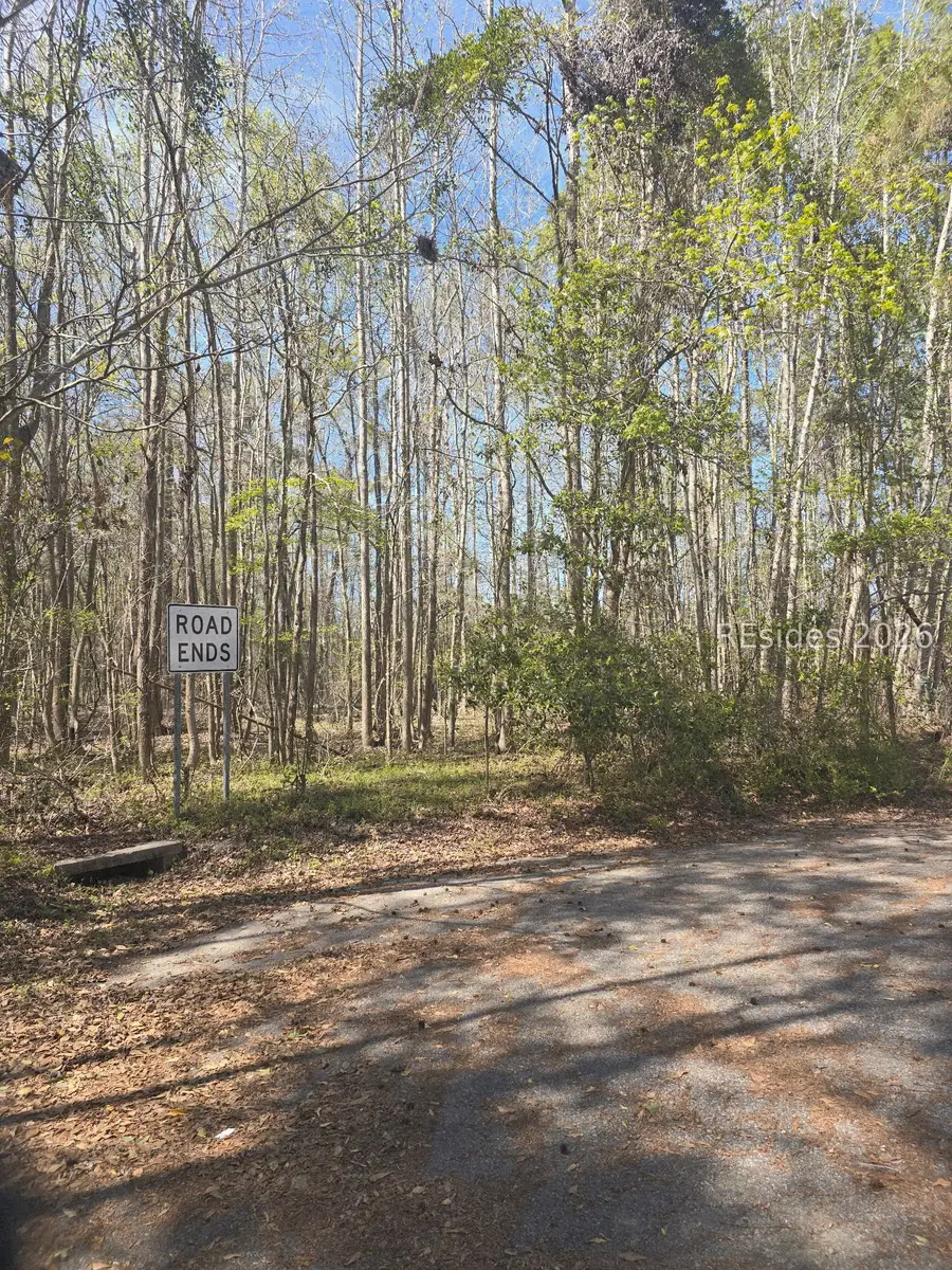 Lot 5 Freeman Street, Brunson, SC 29911 - #3