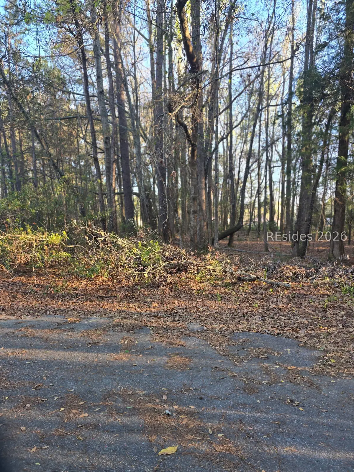 Lot 12 Freeman Street, Brunson, SC 29911 - #1