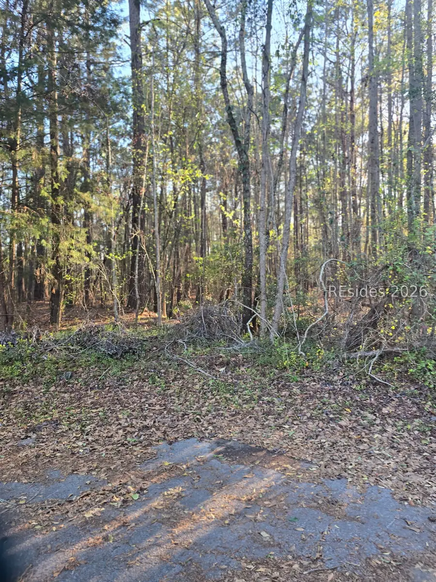 Lot 12 Freeman Street, Brunson, SC 29911 - #2