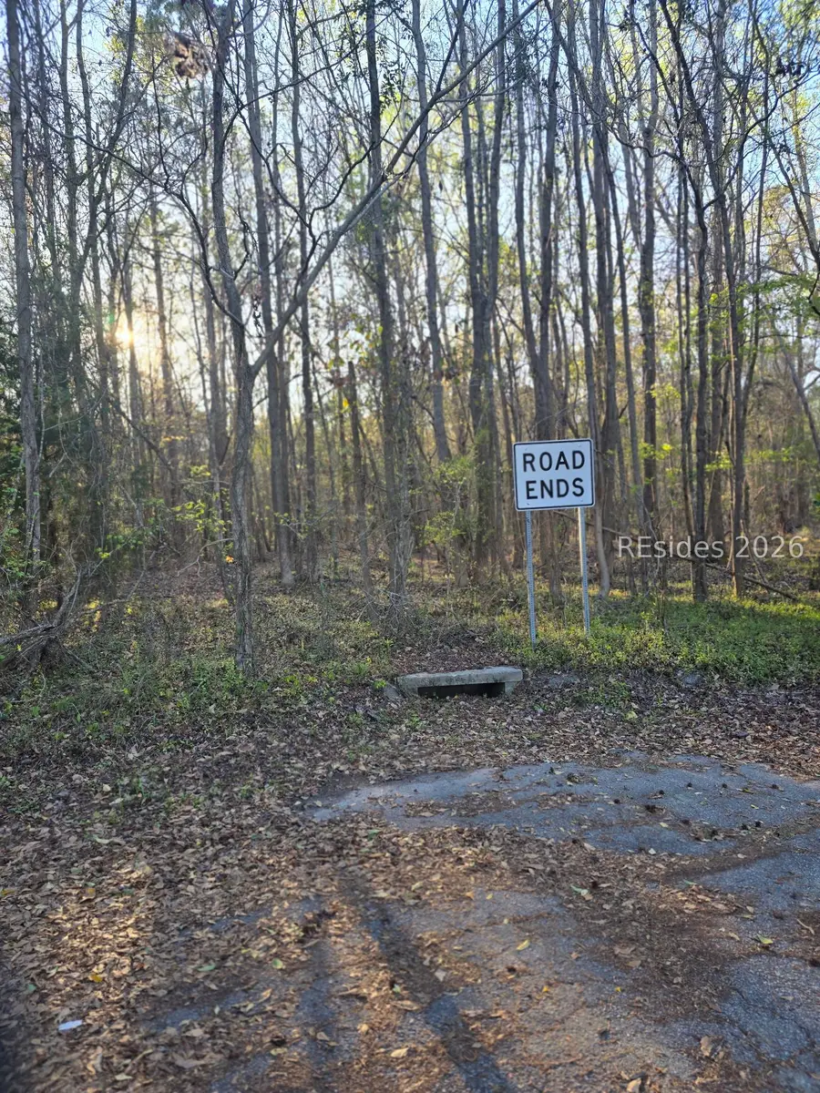 Lot 12 Freeman Street, Brunson, SC 29911 - #3