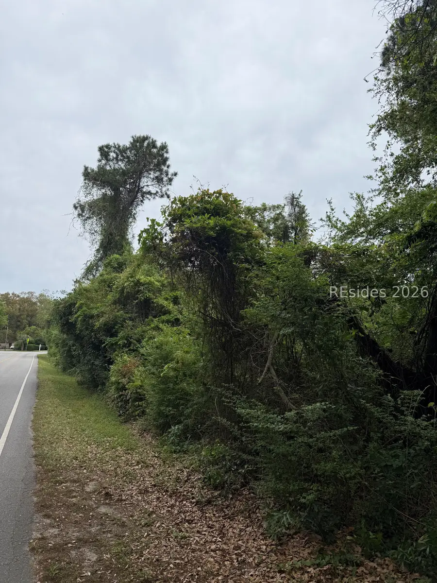 284 Wild Horse Road, Hilton Head Island, SC 29926 - #3